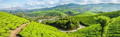 munnar
