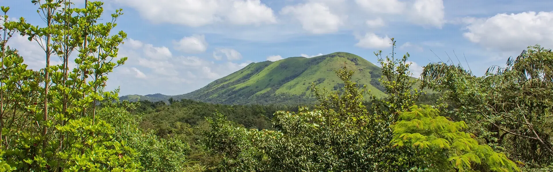 coorg