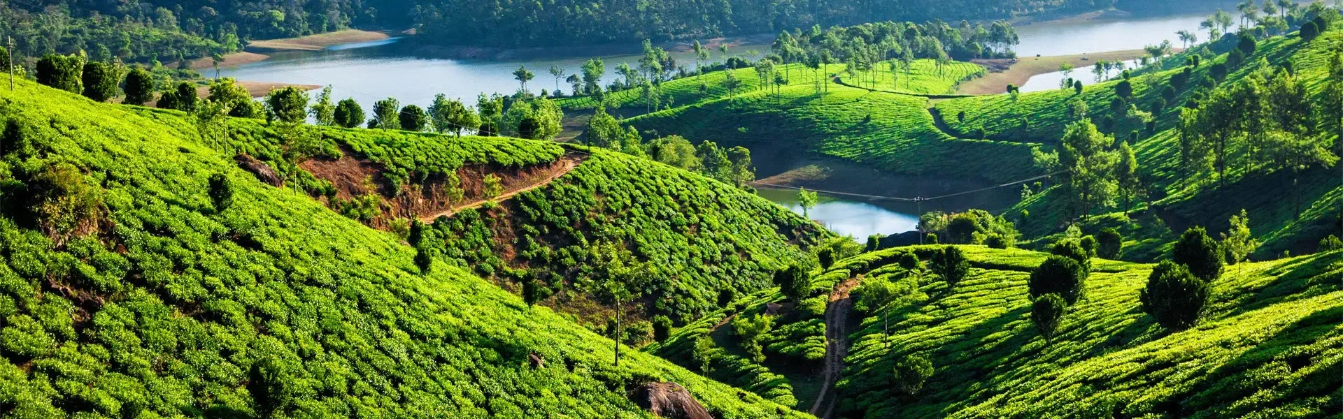 south india