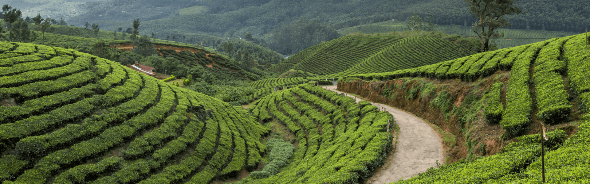 kerala