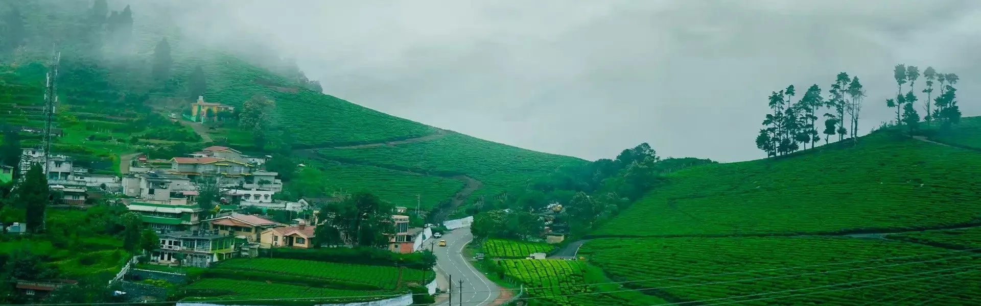 tamil nadu